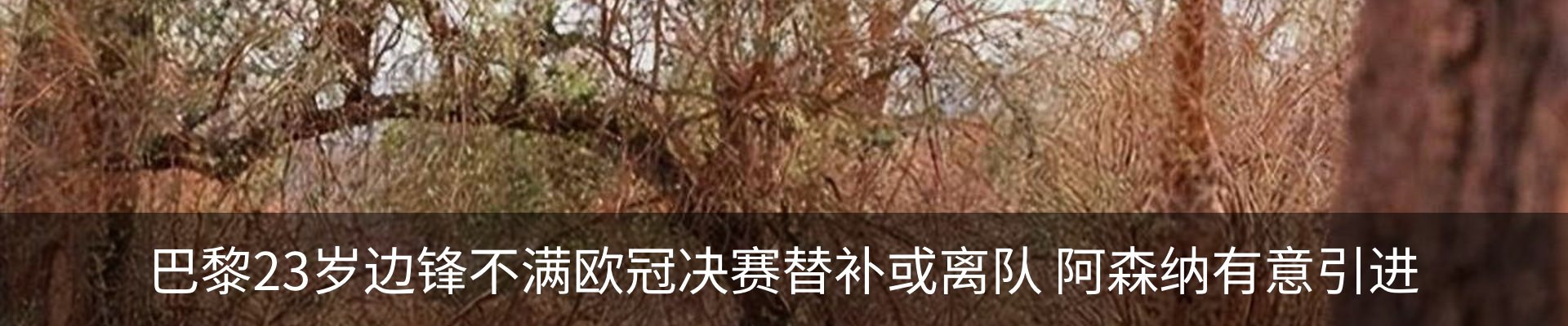 新闻动态